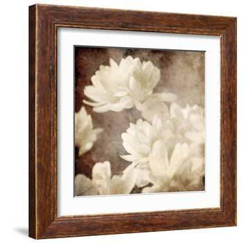 Art Floral Vintage Sepia Background with White Asters-Irina QQQ-Framed Art Print