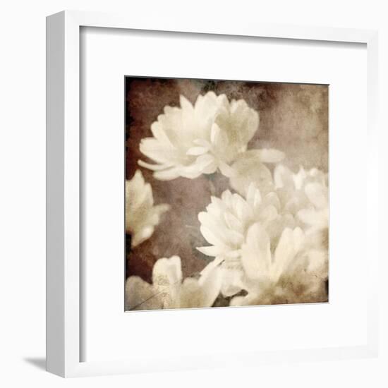 Art Floral Vintage Sepia Background with White Asters-Irina QQQ-Framed Art Print