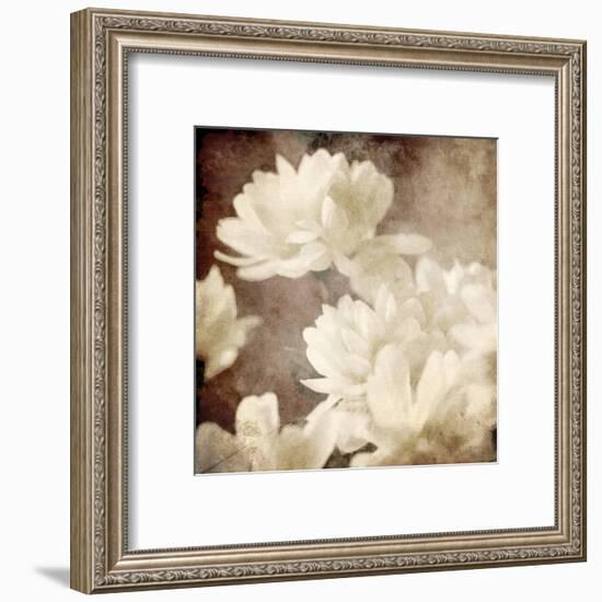 Art Floral Vintage Sepia Background with White Asters-Irina QQQ-Framed Art Print