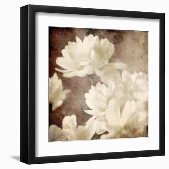 Art Floral Vintage Sepia Background with White Asters-Irina QQQ-Framed Art Print