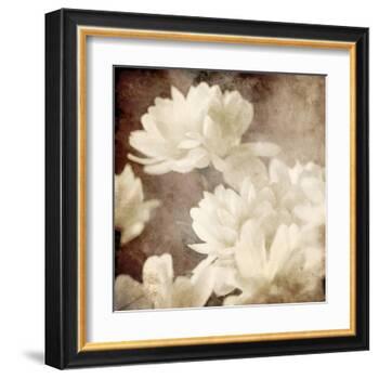 Art Floral Vintage Sepia Background with White Asters-Irina QQQ-Framed Art Print