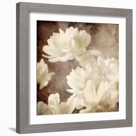 Art Floral Vintage Sepia Background with White Asters-Irina QQQ-Framed Art Print