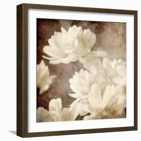 Art Floral Vintage Sepia Background with White Asters-Irina QQQ-Framed Art Print