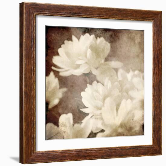 Art Floral Vintage Sepia Background with White Asters-Irina QQQ-Framed Art Print