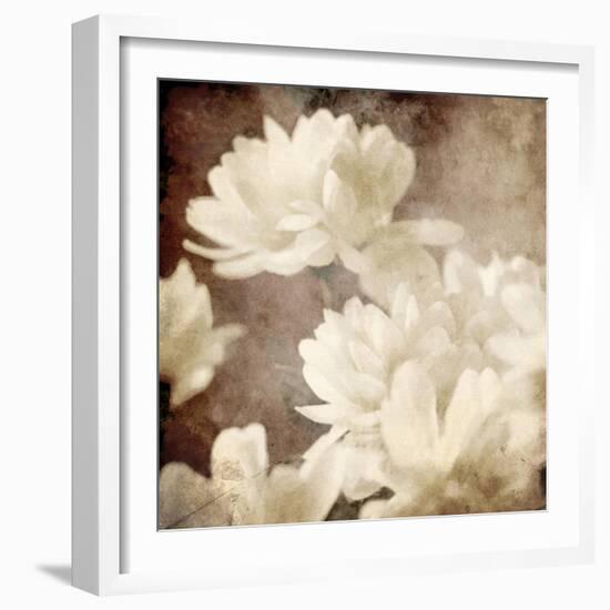 Art Floral Vintage Sepia Background with White Asters-Irina QQQ-Framed Art Print