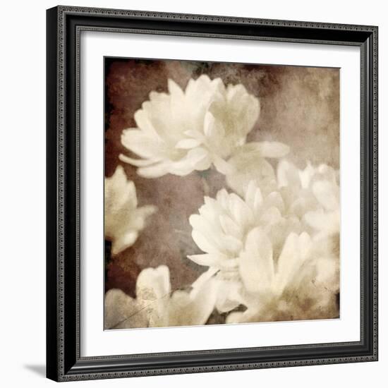 Art Floral Vintage Sepia Background with White Asters-Irina QQQ-Framed Art Print