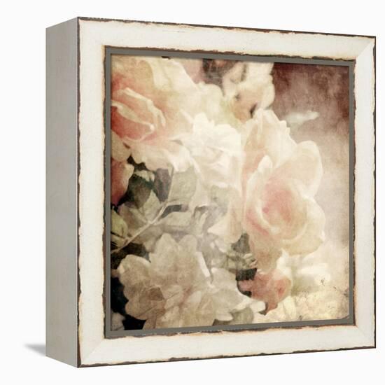 Art Floral Vintage Sepia Background with White Roses-Irina QQQ-Framed Stretched Canvas