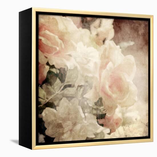 Art Floral Vintage Sepia Background with White Roses-Irina QQQ-Framed Stretched Canvas