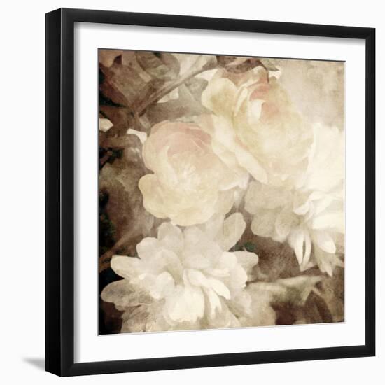 Art Floral Vintage Sepia Blurred Background with White Asters and Roses-Irina QQQ-Framed Art Print