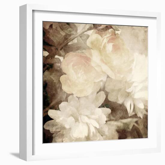 Art Floral Vintage Sepia Blurred Background with White Asters and Roses-Irina QQQ-Framed Art Print