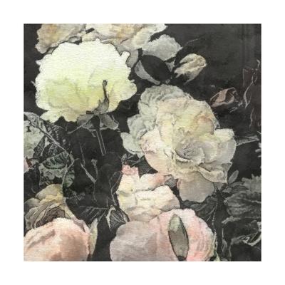 Art Floral Vintage Watercolor Background With White And Light Pink