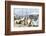 Art for sale by the harbour, Saint Tropez, Var, Cote d'Azur, Provence, France, Europe-Fraser Hall-Framed Photographic Print