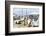 Art for sale by the harbour, Saint Tropez, Var, Cote d'Azur, Provence, France, Europe-Fraser Hall-Framed Photographic Print