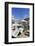 Art for sale by the harbour, Saint Tropez, Var, Cote d'Azur, Provence, France, Europe-Fraser Hall-Framed Photographic Print