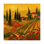 Poppies of Toscano I-Art Fronckowiak-Art Print