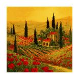 Poppies of Toscano I-Art Fronckowiak-Art Print