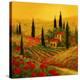 Stretched Canvas Print