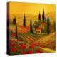 Stretched Canvas Print