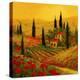 Stretched Canvas Print