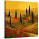 Stretched Canvas Print