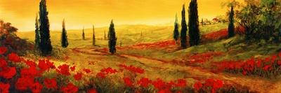 Poppies of Toscano II-Art Fronckowiak-Art Print