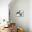 Art House II-Jennifer Goldberger-Framed Stretched Canvas displayed on a wall