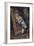 Art Lover, 1860, by Mariano Jose Maria Bernardo Fortuny Y Carbo-null-Framed Giclee Print