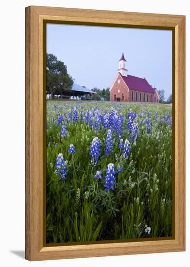 Art Methodist Church and Bluebonnets Near Mason, Texas, USA-Larry Ditto-Framed Premier Image Canvas