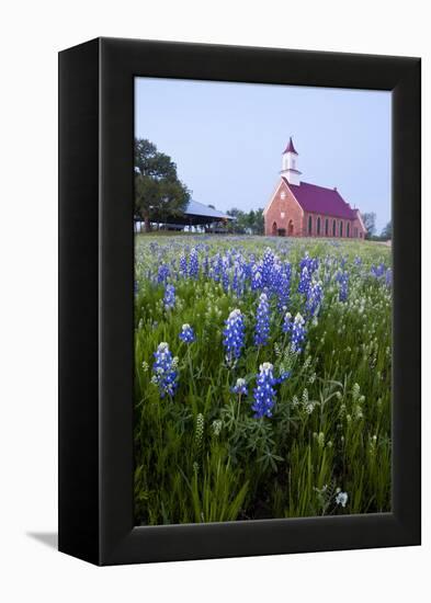 Art Methodist Church and Bluebonnets Near Mason, Texas, USA-Larry Ditto-Framed Premier Image Canvas