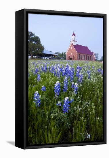 Art Methodist Church and Bluebonnets Near Mason, Texas, USA-Larry Ditto-Framed Premier Image Canvas