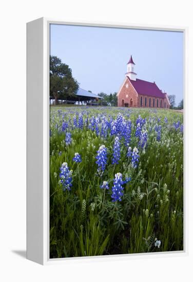 Art Methodist Church and Bluebonnets Near Mason, Texas, USA-Larry Ditto-Framed Premier Image Canvas