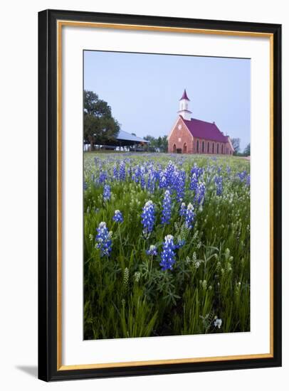 Art Methodist Church and Bluebonnets Near Mason, Texas, USA-Larry Ditto-Framed Photographic Print