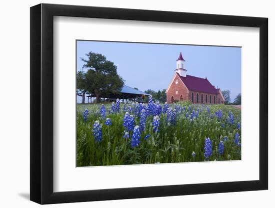 Art Methodist Church and Bluebonnets Near Mason, Texas, USA-Larry Ditto-Framed Photographic Print