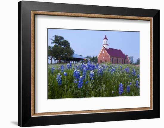 Art Methodist Church and Bluebonnets Near Mason, Texas, USA-Larry Ditto-Framed Photographic Print