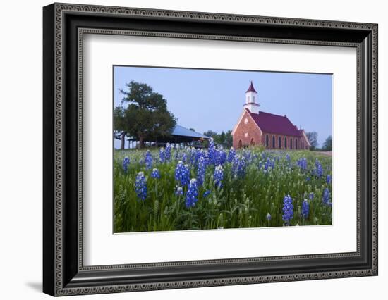 Art Methodist Church and Bluebonnets Near Mason, Texas, USA-Larry Ditto-Framed Photographic Print