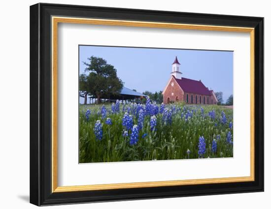 Art Methodist Church and Bluebonnets Near Mason, Texas, USA-Larry Ditto-Framed Photographic Print