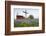 Art Methodist Church and Bluebonnets Near Mason, Texas, USA-Larry Ditto-Framed Photographic Print