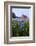 Art Methodist Church and Bluebonnets Near Mason, Texas, USA-Larry Ditto-Framed Photographic Print