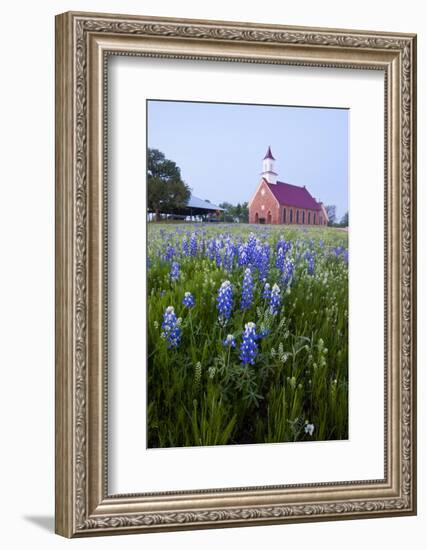 Art Methodist Church and Bluebonnets Near Mason, Texas, USA-Larry Ditto-Framed Photographic Print