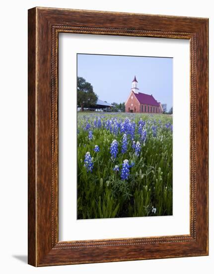 Art Methodist Church and Bluebonnets Near Mason, Texas, USA-Larry Ditto-Framed Photographic Print