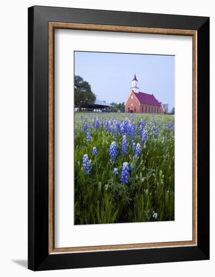 Art Methodist Church and Bluebonnets Near Mason, Texas, USA-Larry Ditto-Framed Photographic Print