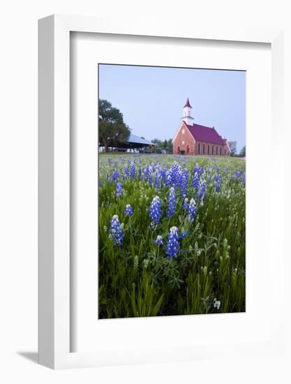 Art Methodist Church and Bluebonnets Near Mason, Texas, USA-Larry Ditto-Framed Photographic Print