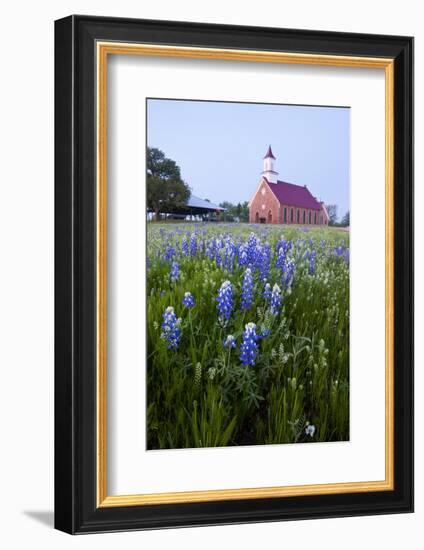 Art Methodist Church and Bluebonnets Near Mason, Texas, USA-Larry Ditto-Framed Photographic Print