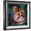 Art of Mathematical Knotted Torus-PASIEKA-Framed Premium Photographic Print