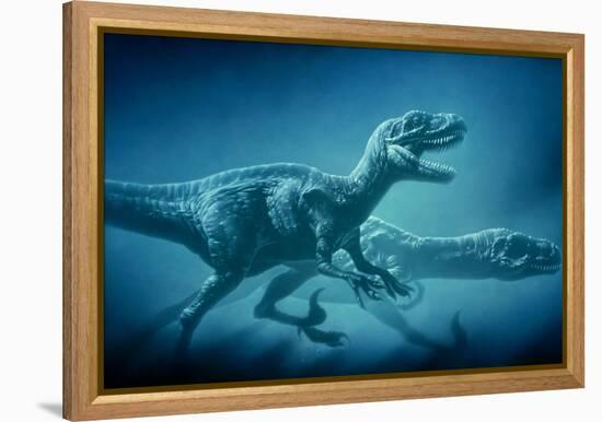 Art of Two Megaraptor Dinosaurs-Joe Tucciarone-Framed Premier Image Canvas