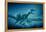 Art of Two Megaraptor Dinosaurs-Joe Tucciarone-Framed Premier Image Canvas