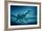 Art of Two Megaraptor Dinosaurs-Joe Tucciarone-Framed Photographic Print