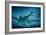 Art of Two Megaraptor Dinosaurs-Joe Tucciarone-Framed Photographic Print