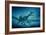 Art of Two Megaraptor Dinosaurs-Joe Tucciarone-Framed Photographic Print