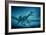 Art of Two Megaraptor Dinosaurs-Joe Tucciarone-Framed Photographic Print